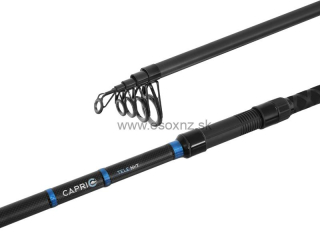 DELPHIN CAPRI Tele NXT 300cm/80g